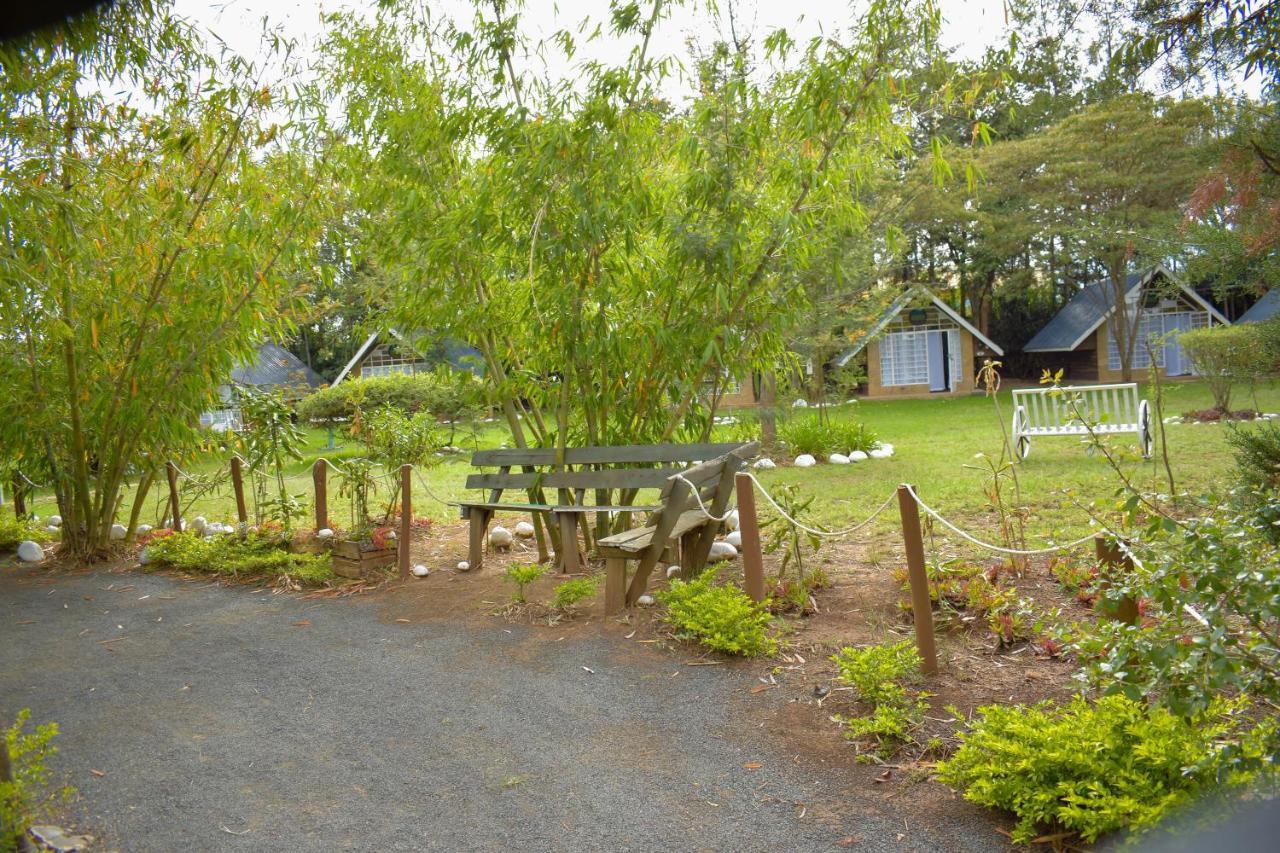 Camp Mahon Gardens Hotell Nanyuki Exteriör bild